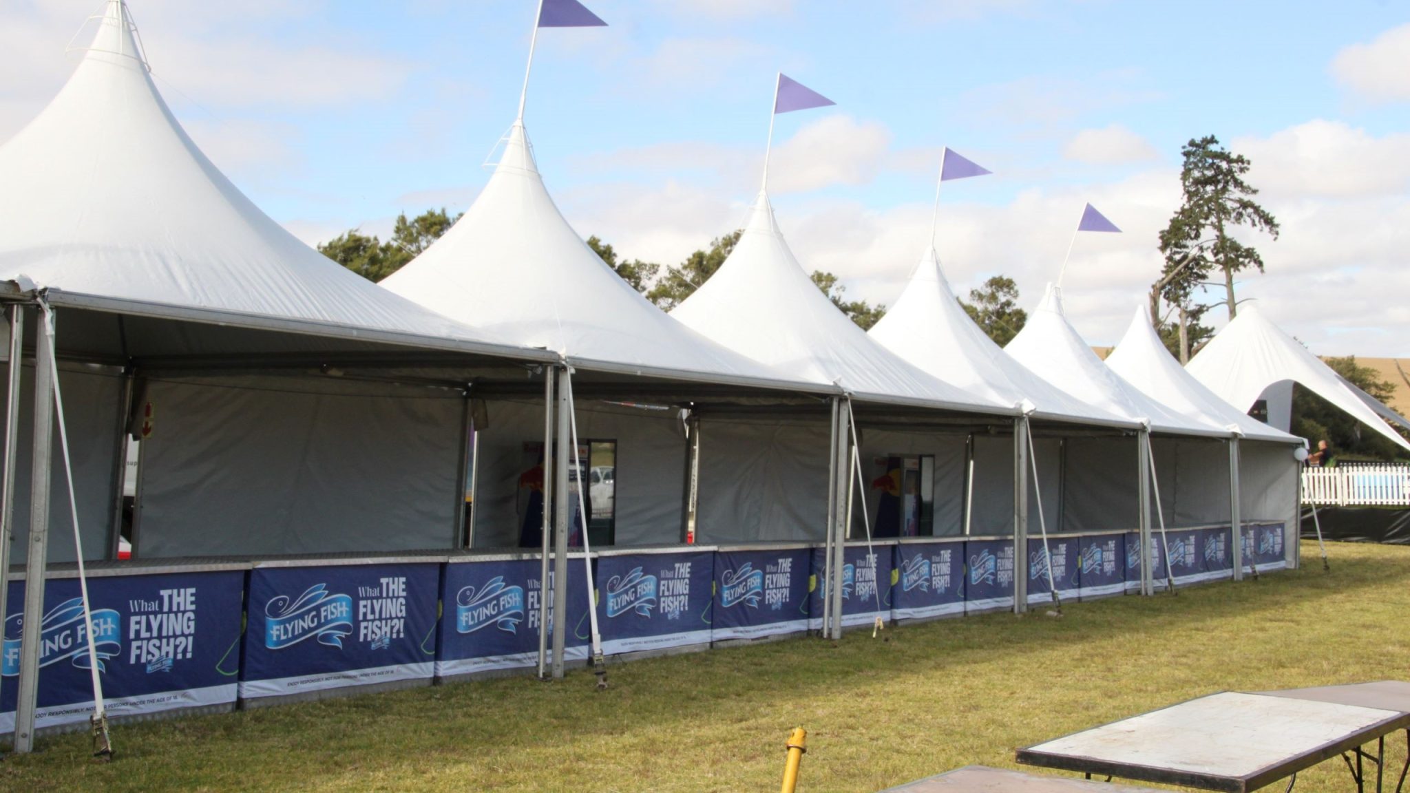 Snow Peak tensile structure installed by RAK Structures for a music festival in Cape Town Winelands