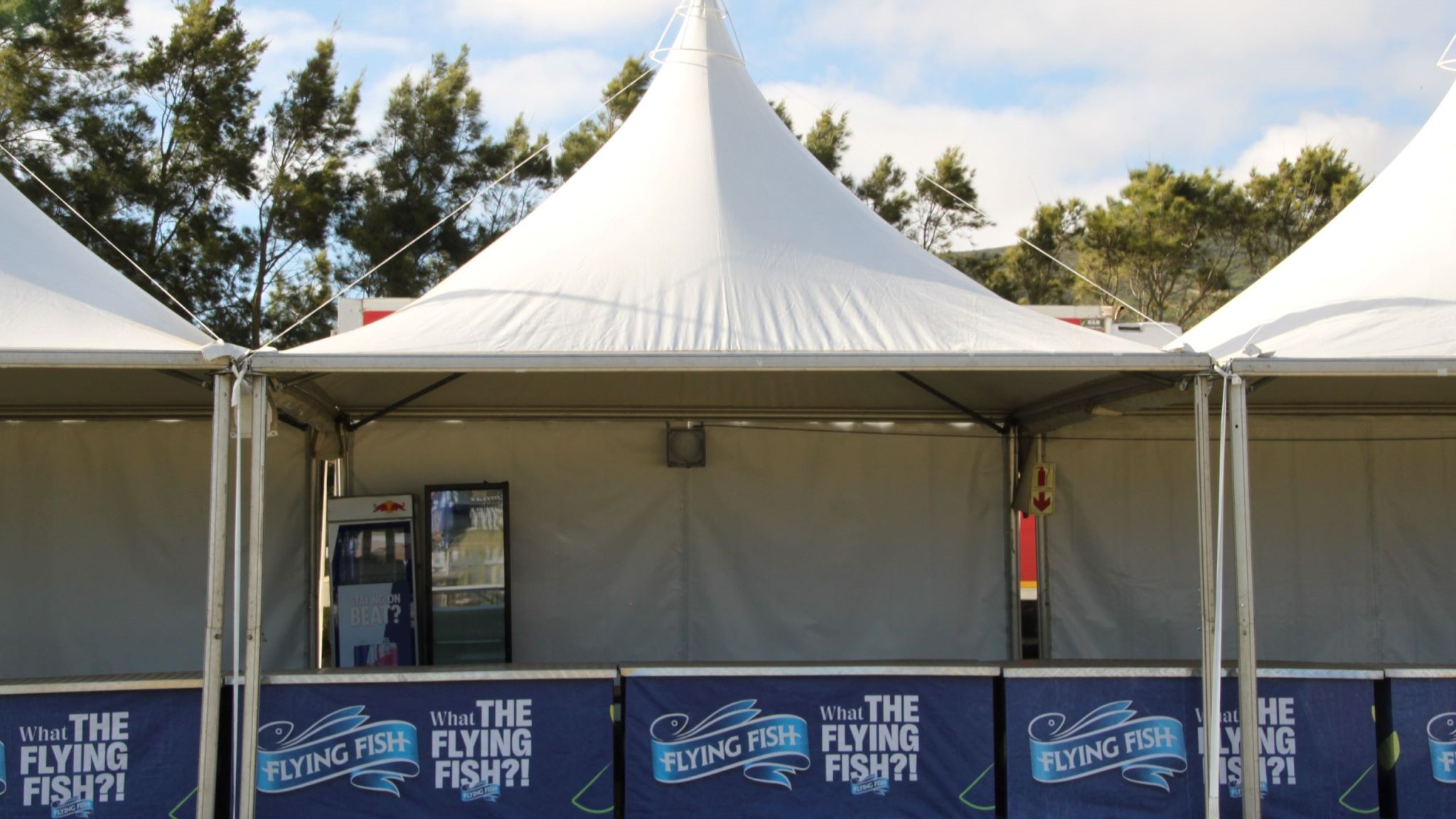 Snow Peak tensile structure installed by RAK Structures for a music festival in Cape Town Winelands