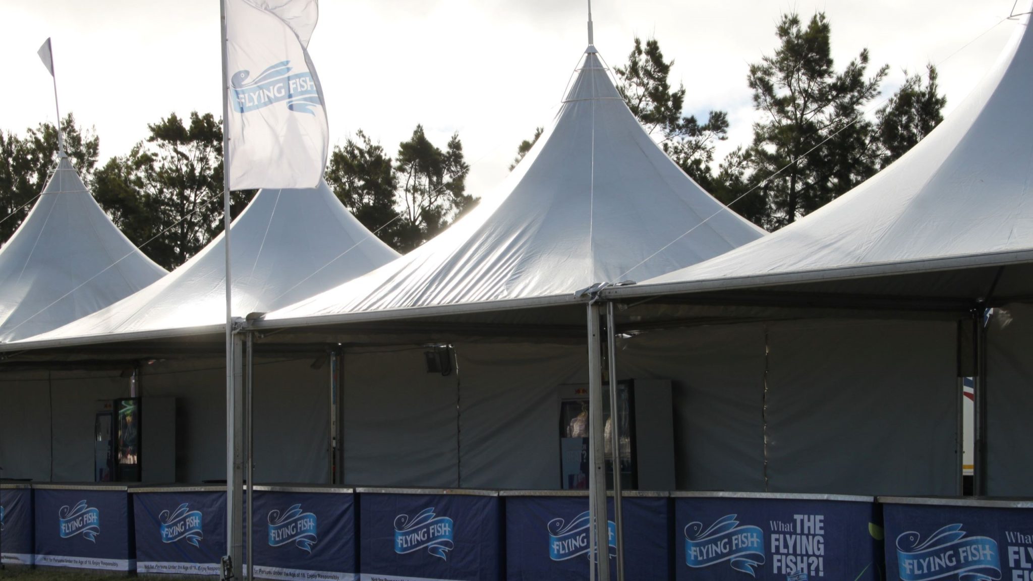 Snow Peak tensile structure installed by RAK Structures for a music festival in Cape Town Winelands