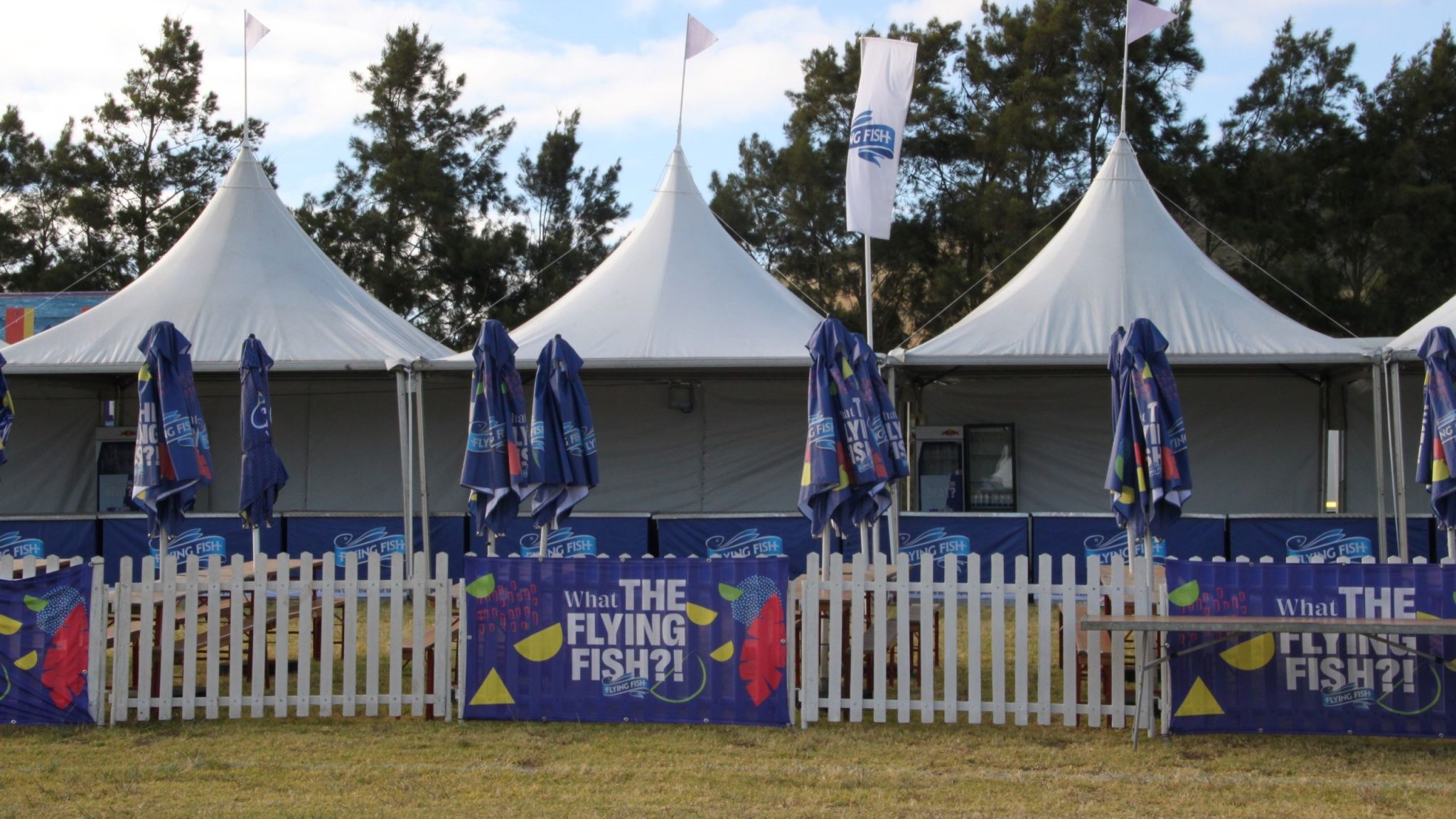 Snow Peak tensile structure installed by RAK Structures for a music festival in Cape Town Winelands